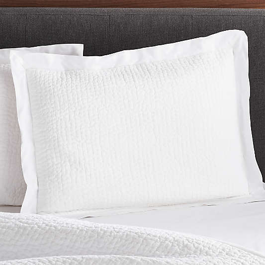 Celeste White Cotton Solid Standard Sham