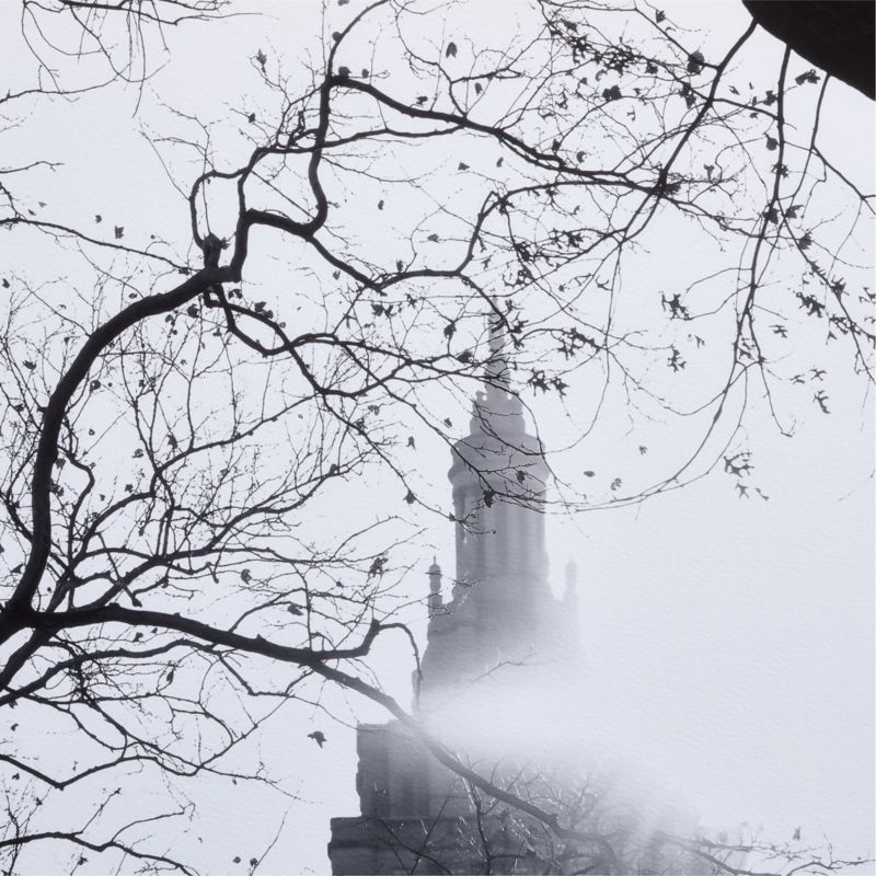 "Central Park City View" by Carly Tabak 40"x60" Framed Photography Print - image 3 of 5