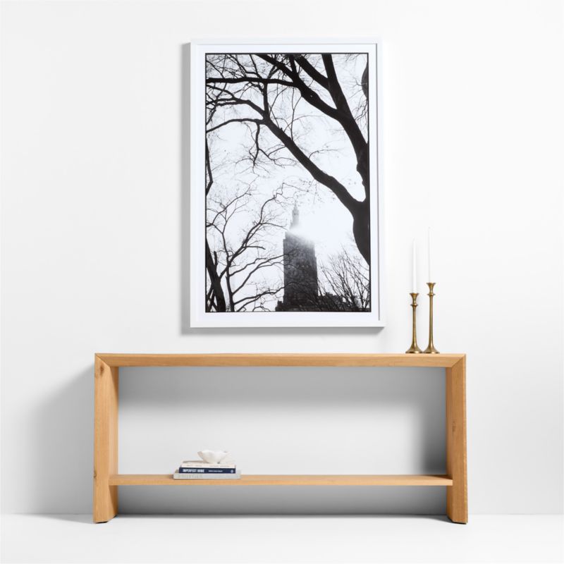 "Central Park City View" by Carly Tabak 40"x60" Framed Photography Print - image 2 of 5