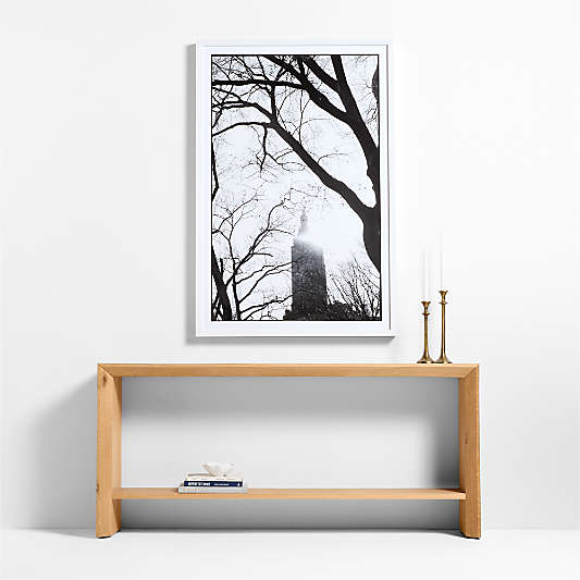 "Central Park City View" by Carly Tabak 40"x60" Framed Photography Print