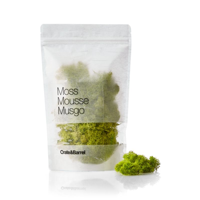 Chartreuse Bag of Moss - image 8 of 10