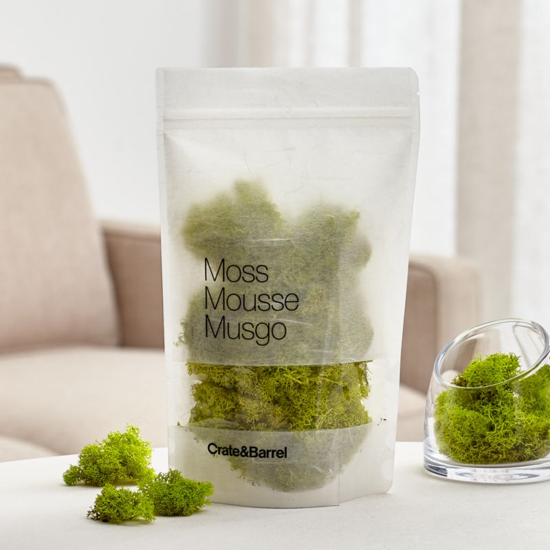 Chartreuse Bag of Moss - image 1 of 10