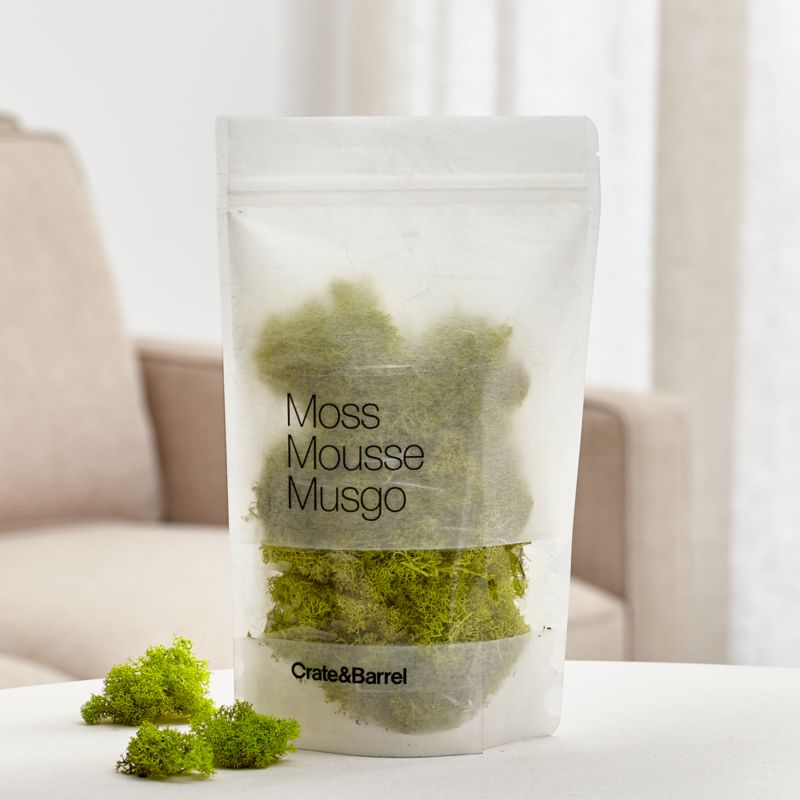 Chartreuse Bag of Moss - image 0 of 10