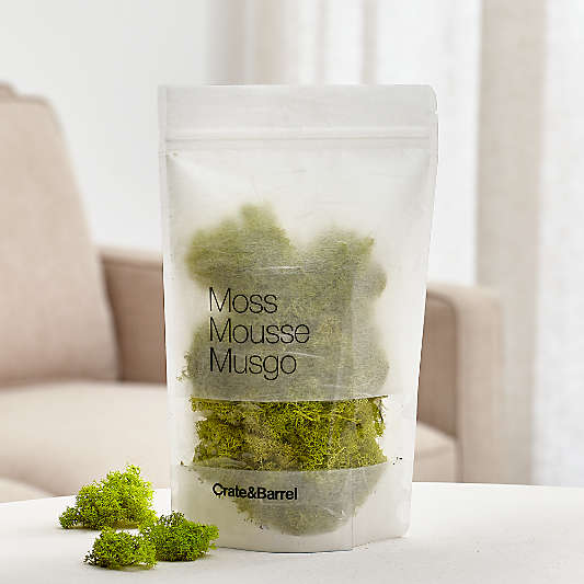 Chartreuse Bag of Moss