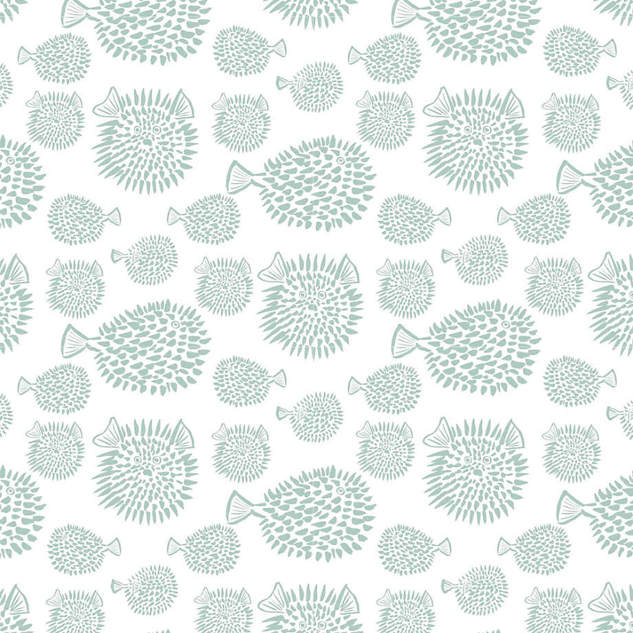 Pufferfish Wallpapers  Top Free Pufferfish Backgrounds  WallpaperAccess