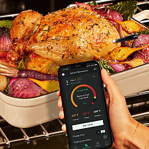 Chef iQ Smart Wireless Meat Thermometer - Hardware - Home