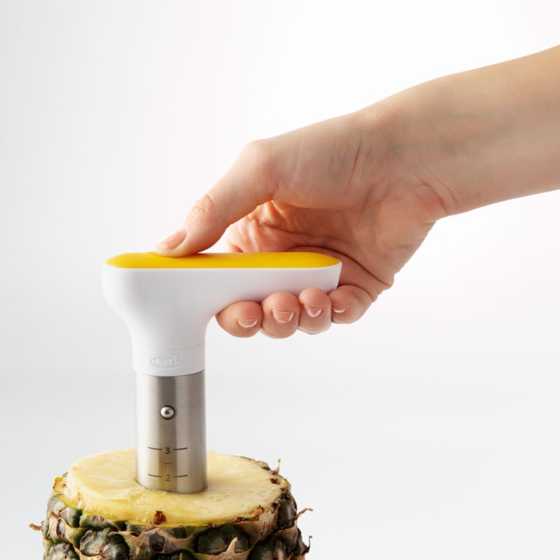 Chef'n Twist 'n Core ™ Pineapple Corer - image 1 of 8