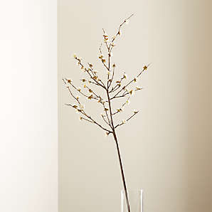 Stems and Decorative Branches