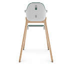 UPPAbaby Ciro Emrick Green Baby High Chair + Reviews | Crate & Kids