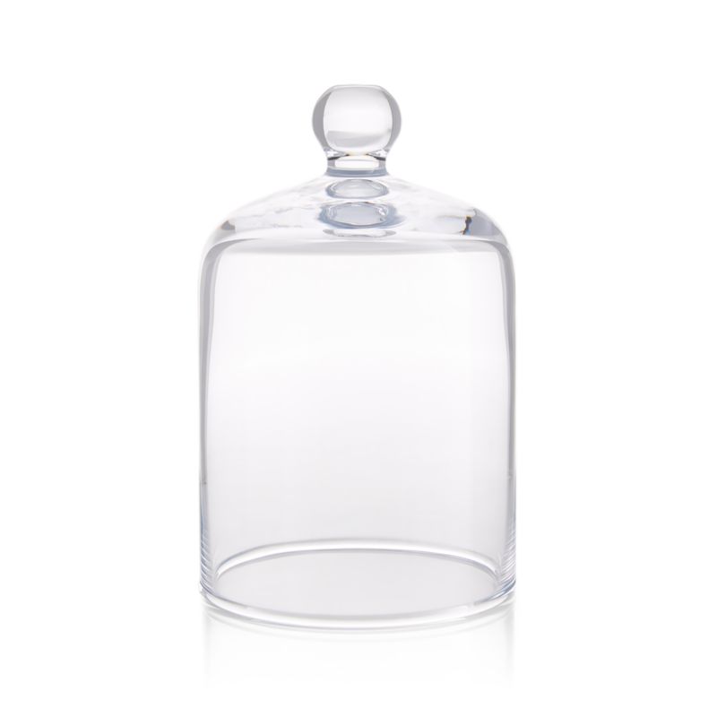 Glass Cloche Candle Holder with Knob + Reviews Crate & Barrel Canada