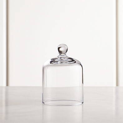 View Glass Cloche details