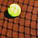 Clay Court