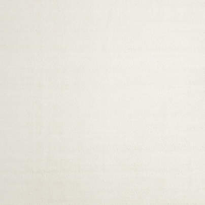 Colmar Performance Handwoven Ivory Area Rug 8'x10'