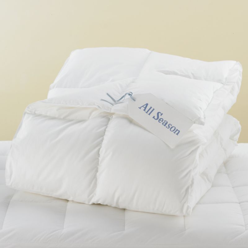 Go Back to School ! Buy One Natural Comfort Down Alternative Comforter Get  One Same Color Microfiber Sheet Sets Free!