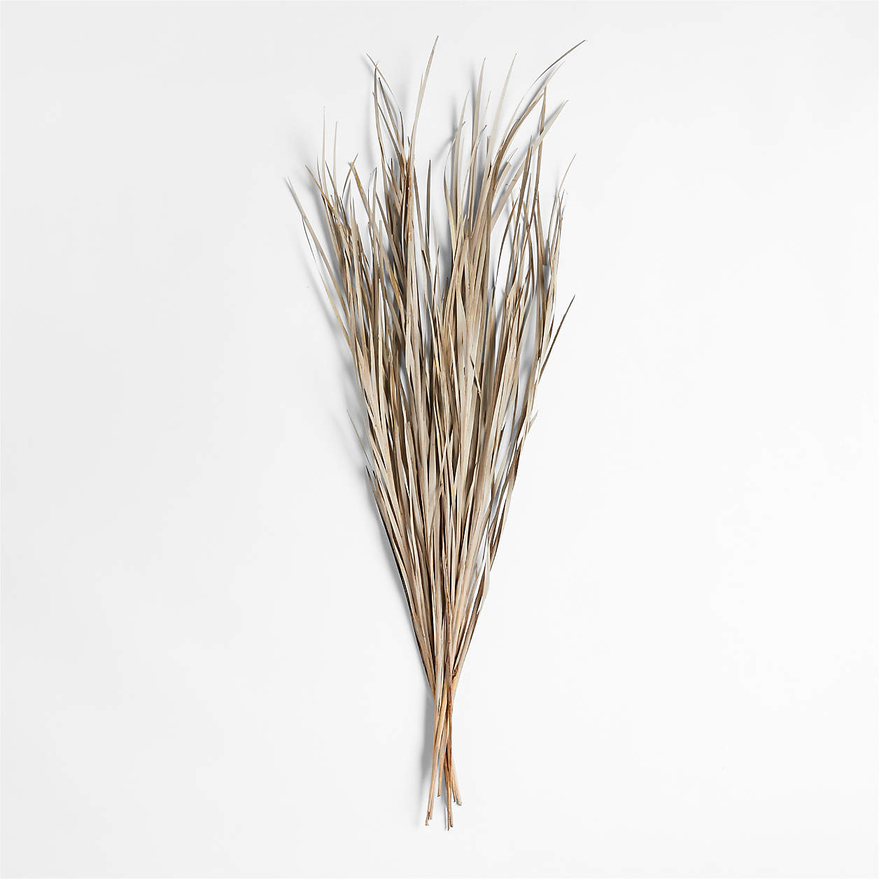 Courtney Decorative Dried Grass Bundle 42" by Leanne Ford + Reviews