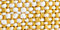 Savannah Yellow Striped
