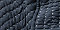 Midnight Navy