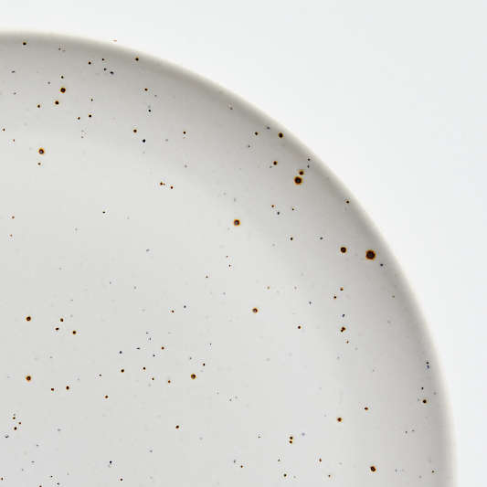 Craft Speckled White Stoneware Flat Dinner Plate