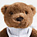 Fuzzie the Bear