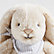 Flopsie the Bunny