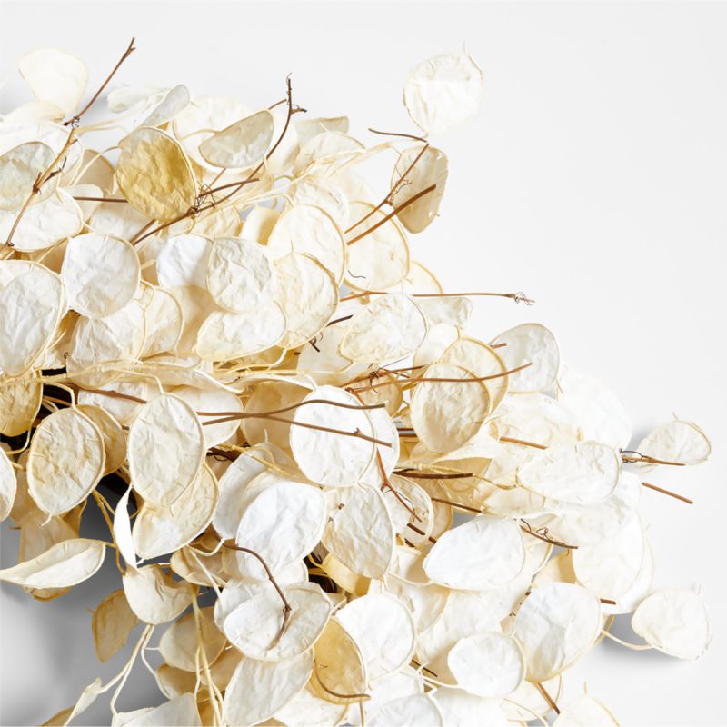 Faux Cream Lunaria Wreath 32" - image 2 of 5