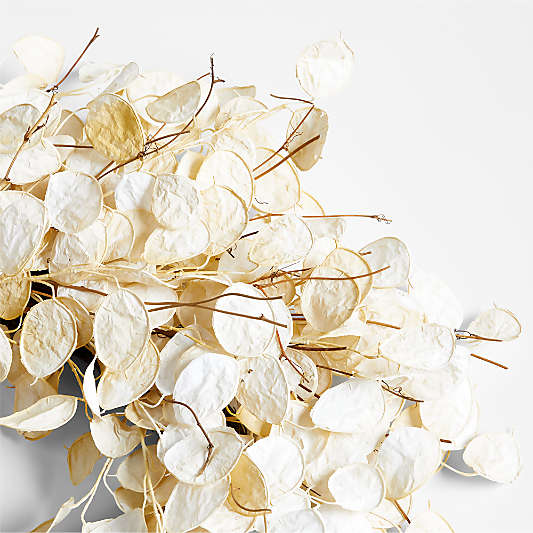 Faux Cream Lunaria Wreath 32"