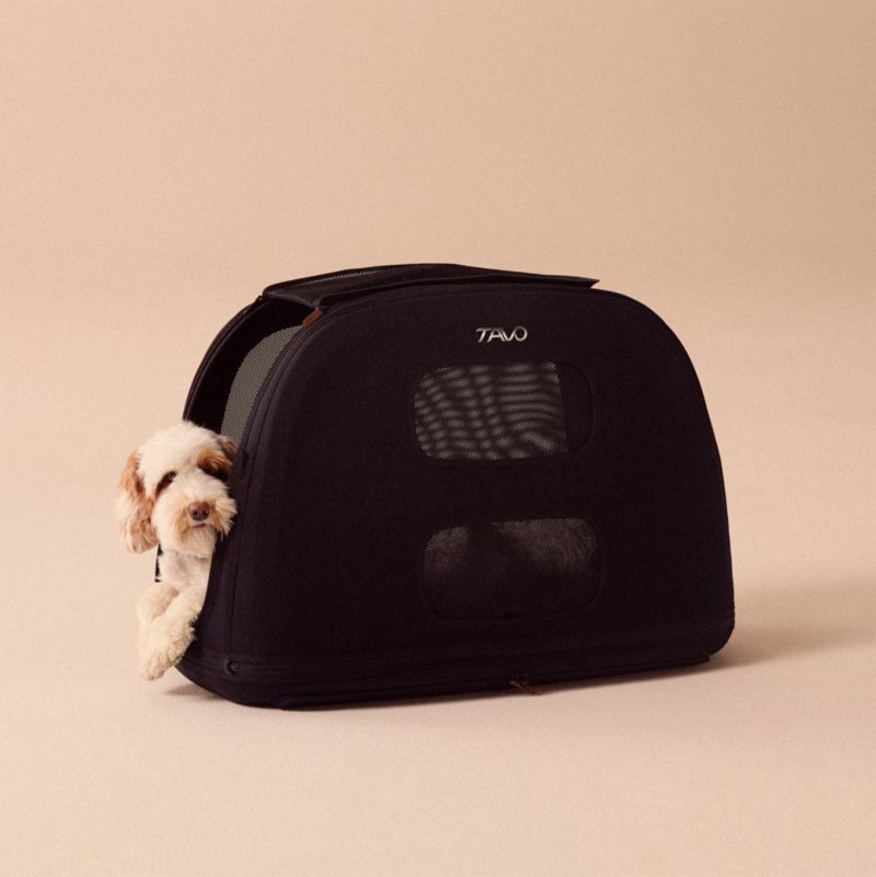 Crispin Impact-Tested Pet Travel Crate, Large in Onyx - image 7 of 10