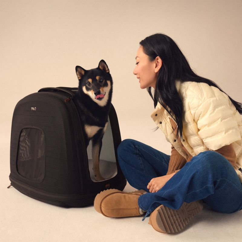 Crispin Impact-Tested Pet Travel Crate, Medium in Onyx - image 8 of 10