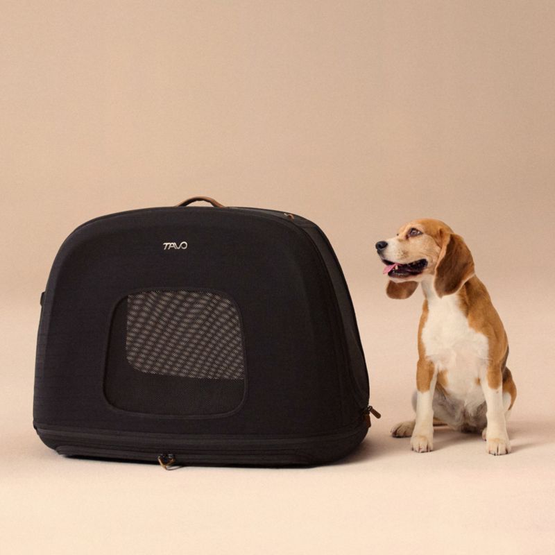 Crispin Impact-Tested Pet Travel Crate, Medium in Onyx - image 6 of 10