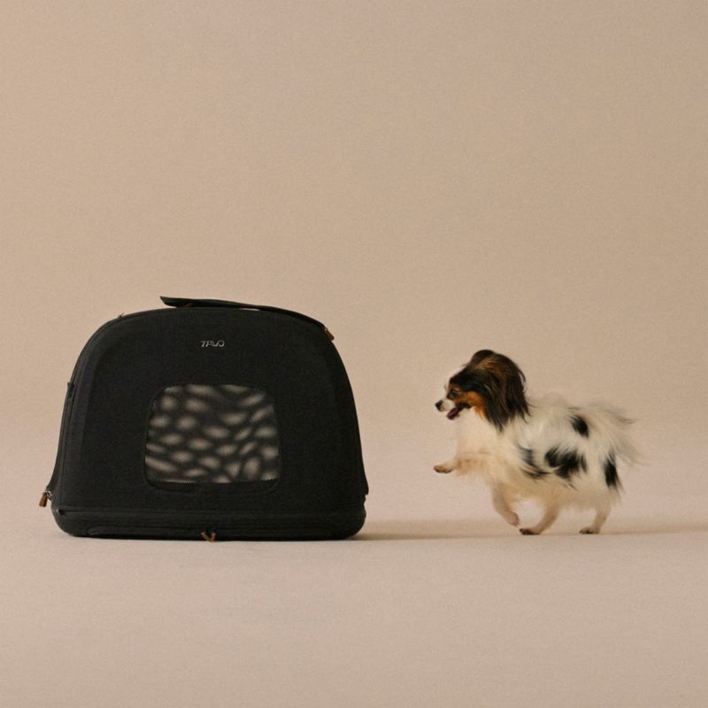 Crispin Impact-Tested Pet Travel Crate, Small in Onyx - image 7 of 10