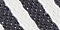 White/Black Stripe