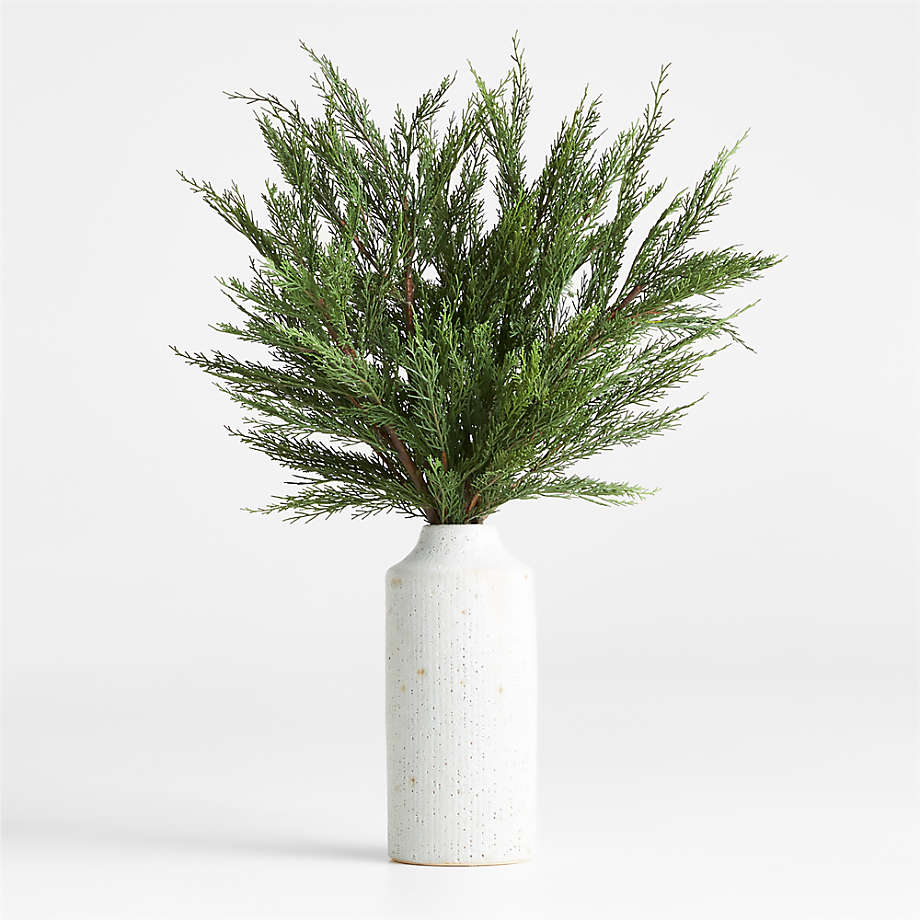 Cypress Stem Faux Plant in Medium Ema White Ceramic Vase Crate & Barrel