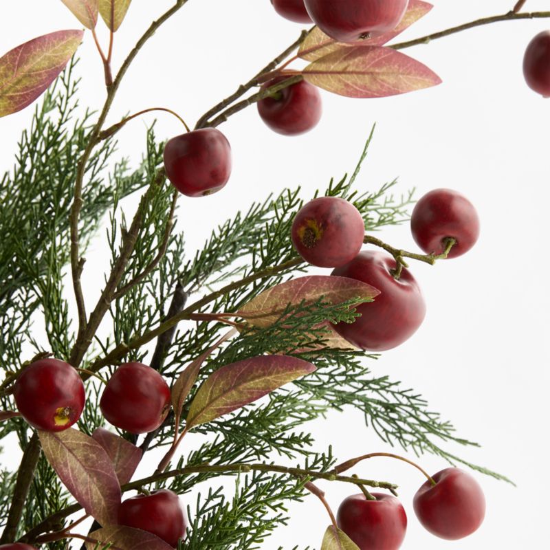 Cypress and Red Apple Bundle by Abigail Ahern - image 1 of 2