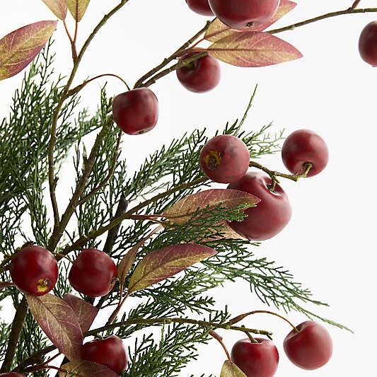 Cypress and Red Apple Bundle by Abigail Ahern