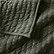 Ficus Green