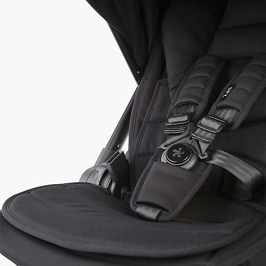 DFY R1 Baby Stroller Seat Liner
