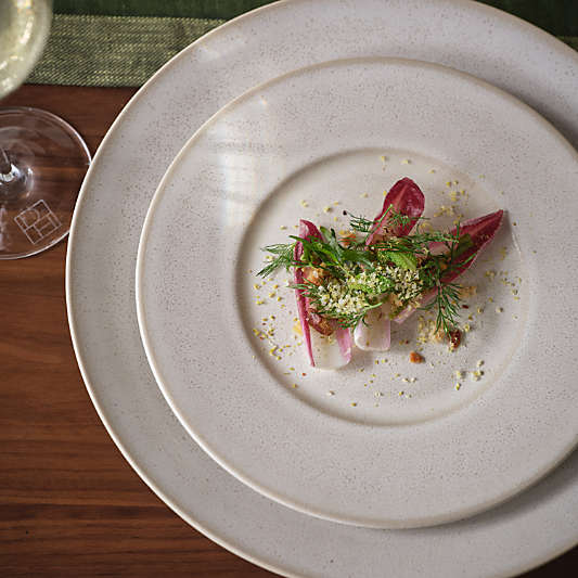 Basel Recycled Stoneware Dinner Plate by Daniel Humm