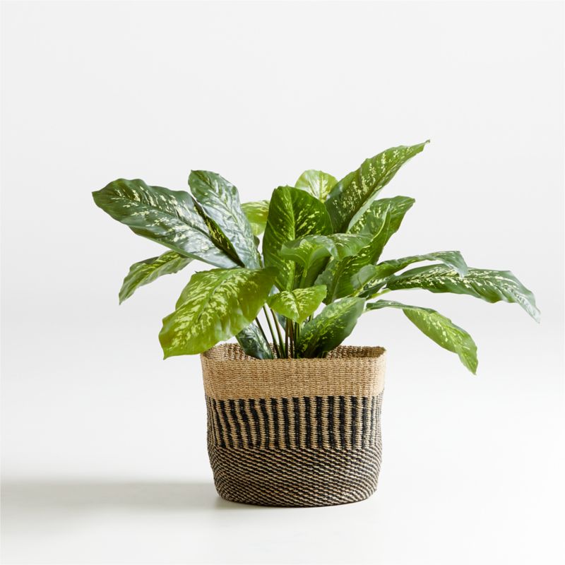 34" Faux Dieffenbachia Plant - image 0 of 4