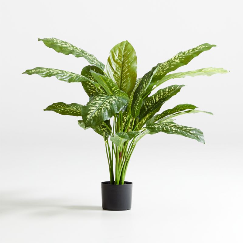 42" Faux Dieffenbachia Plant - image 1 of 3