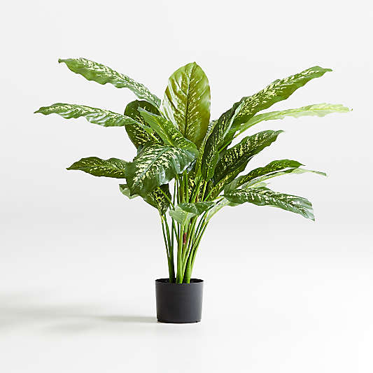 42" Faux Dieffenbachia Plant