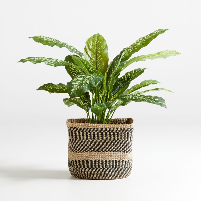 42" Faux Dieffenbachia Plant - image 0 of 3