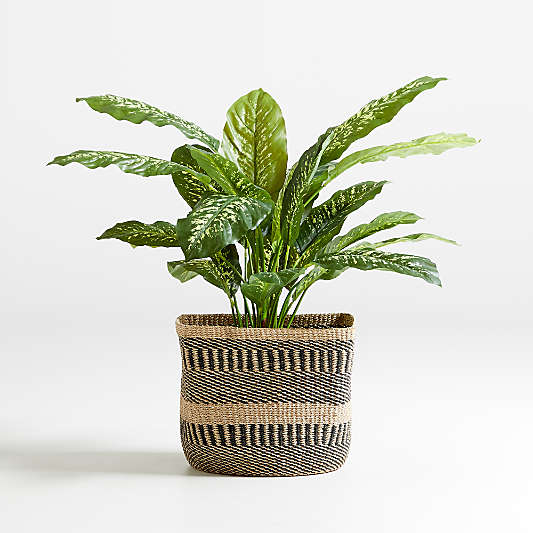 42" Faux Dieffenbachia Plant