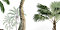 Dino Island