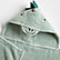Dinosaur