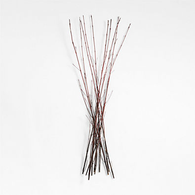 View Red Dogwood Branches 3.5' details
