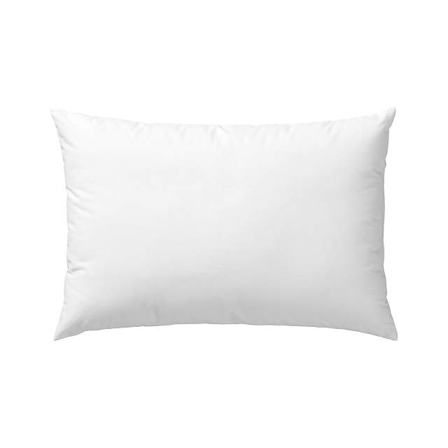 18 x 18 Down Pillow Form - 50/50