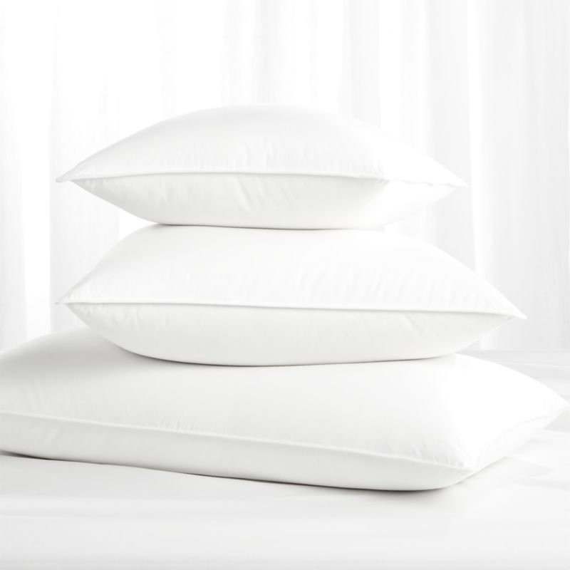 Bed bath outlet beyond pillow inserts