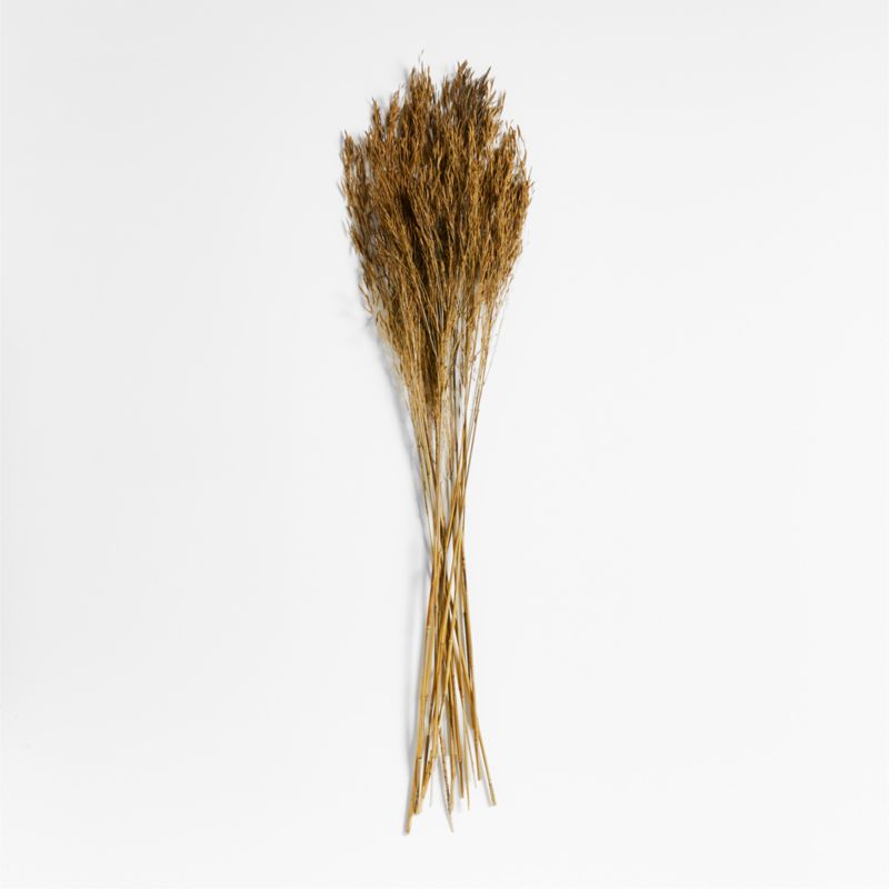 Brown Chorao Decorative Dried Grass Bunch