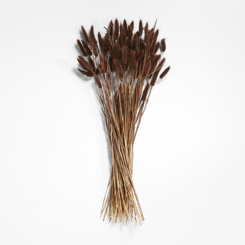 Dried Brown Bunny Tail Bunch - image 0 of 3