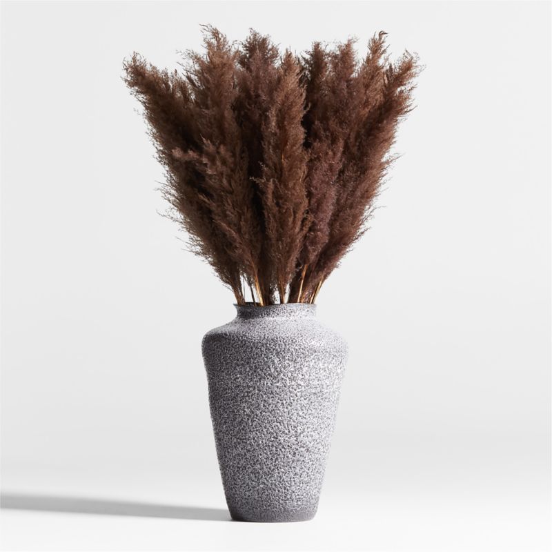 Dried Brown Grass Plume - image 1 of 3